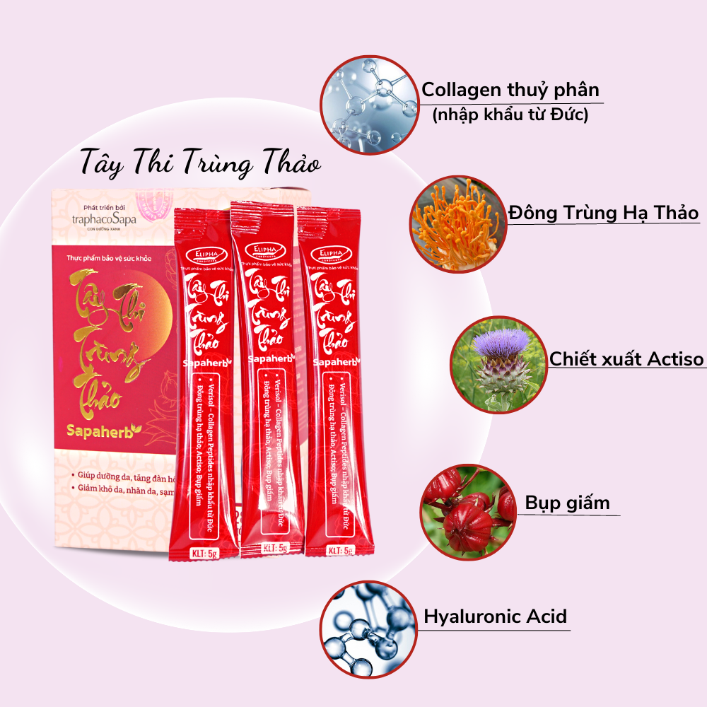 311-Thành Phần Tây Thi Trùng Thảo Sapaherb.png