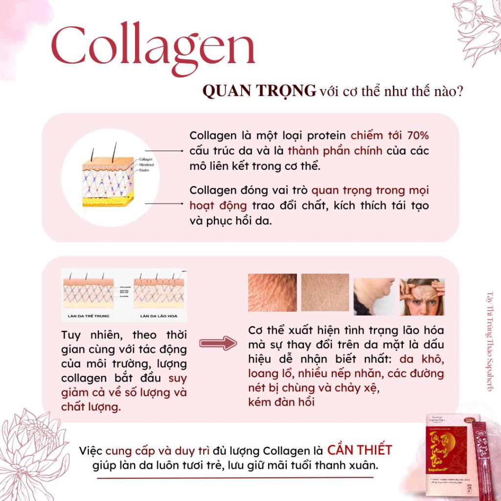 311-collagen-Tay-Thi-Trung-Thao-loai-28-goi-18.jpg