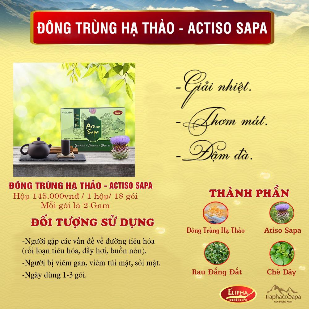 336-trà đông trùng hạ thảo actiso sapa av5.jpg